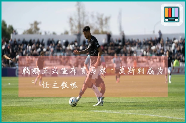 鹈鹕正式宣布贾马尔·莫斯利成为新任主教练